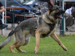 01.07.2023 offenes training 26